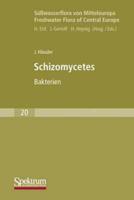 Swasserflora von Mitteleuropa, Bd. 20: Schizomycetes