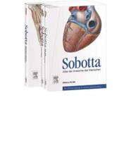 Sobotta, Atlas Der Anatomie Des Menschen 3 Bände Und Tabellenheft Im Schuber, Inklusive Zugang Zur Sobotta-Website