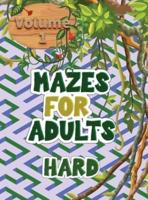 Mazes for Adults