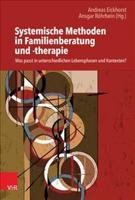 Systemische Methoden in Familienberatung Und -Therapie