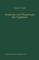 Anatomie Und Physiologie Der Capillaren