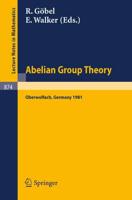 Abelian Group Theory