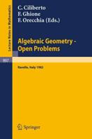 Algebraic Geometry - Open Problems : Proceedings of the Conference held in Ravello, May 31 - June 5, 1982