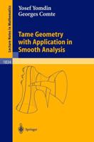 Tame Geometry With Application in Smooth Analysis