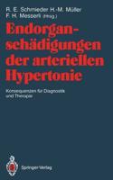 Endorganschadigungen Der Arteriellen Hypertonie Konsequenzen Fur Diagnostik Und Therapie