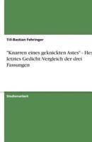 Knarren Eines Geknickten Astes - Hesses Letztes Gedicht
