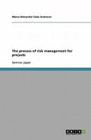 The Process of Risk Management for Projects
