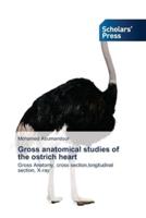 Gross anatomical studies of the ostrich heart