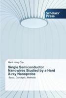 Single Semiconductor Nanowires Studied by a Hard X-ray Nanoprobe