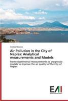 Air Pollution in the City of Naples: Analytical measurements and Models