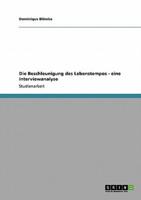 Die Beschleunigung Des Lebenstempos - Eine Interviewanalyse