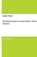 Raumkonzeption in Juan Rulfos 'Pedro Páramo'