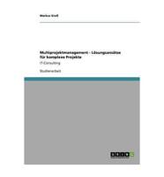 Multiprojektmanagement - Lösungsansätze für komplexe Projekte:IT-Consulting