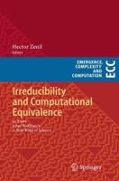 Irreducibility and Computational Equivalence : 10 Years After Wolfram's A New Kind of Science