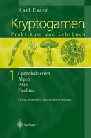 Kryptogamen 1 : Cyanobakterien Algen Pilze Flechten Praktikum und Lehrbuch