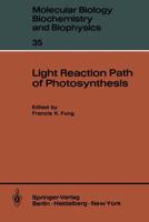 Light Reaction Path of Photosynthesis