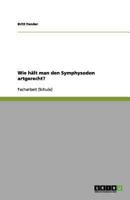 Wie hält man den Symphysodon artgerecht?