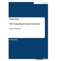 Soft Computing in Expertensystemen