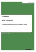 Kalle Blomquist:Narratologische Beobachtungen und Didaktische Ansätze