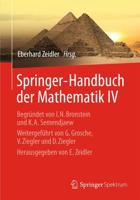 Springer-Handbuch der Mathematik IV