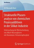 Strukturelle Phasenanalyse von chemischen Prozessadditiven in der Silikat-Industrie : Untersuchung der Wechselwirkung von Alkali-Wassergläsern mit Aluminium-Tetrametaphosphat