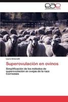 Superovulacion En Ovinos