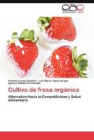 Cultivo de Fresa Organica