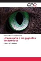 Una mirada a los gigantes amazónicos