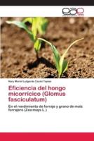 Eficiencia del hongo micorrícico (Glomus fasciculatum)