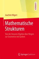 Mathematische Strukturen : Von der linearen Algebra über Ringen zur Geometrie mit Garben