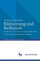 Bildstörung Und Reflexion