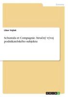 Schustala Et Compagnie. Stručný Vývoj Podnikatelského Subjektu