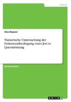 Numerische Untersuchung Der Einlassrandbedingung Eines Jets in Querströmung