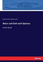 Natur und Gott nach Spinoza:Erster Band