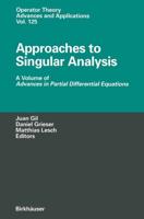 Approaches to Singular Analysis Advances in Partial Differential Equations
