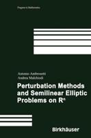 Perturbation Methods and Semilinear Elliptic Problems on RÔü+