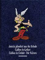 Asterix Gesamtausgabe 12