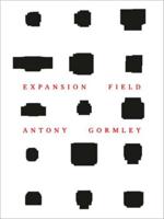 Antony Gormley - Expansion Field