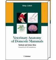 Veterinary Anatomy of Domestic Mammals