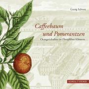 Caffeebaum Und Pomerantzen