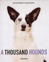 A Thousand Hounds