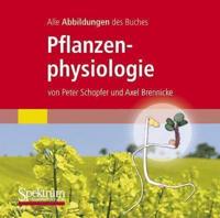 Alle Grafiken Des Lehrbuchs Pflanzenphysiologie