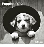 2012 Puppies Grid Calendar