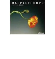 2012 Mapplethorpe Grid Calendar