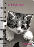2013 Kittens Pocket Deluxe Diary