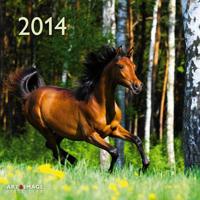 2014 A&I Horses Calendar