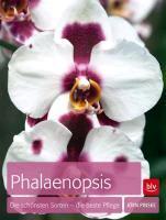 Pinske, J: Phalaenopsis