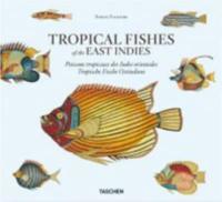 Samuel Fallours: Tropical Fishes of the East Indies