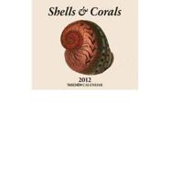 2012 Shells & Corals Tear Off Calendar