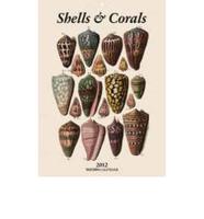 2012 Shells & Corals - Weekly Tear Off Calendar